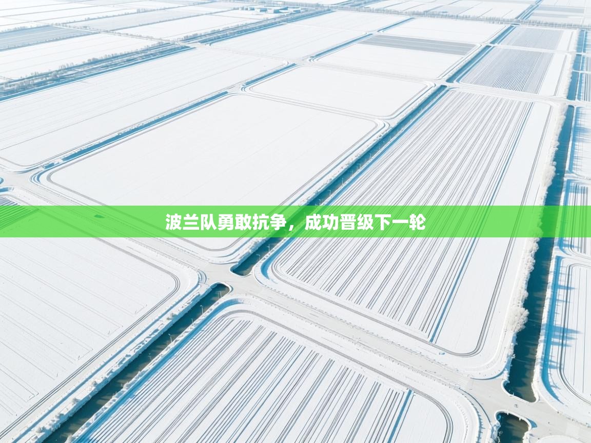 波兰队勇敢抗争，成功晋级下一轮