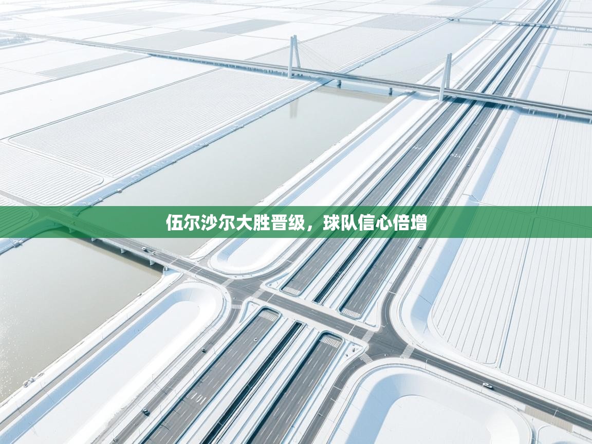 伍尔沙尔大胜晋级,球队信心倍增 第2张