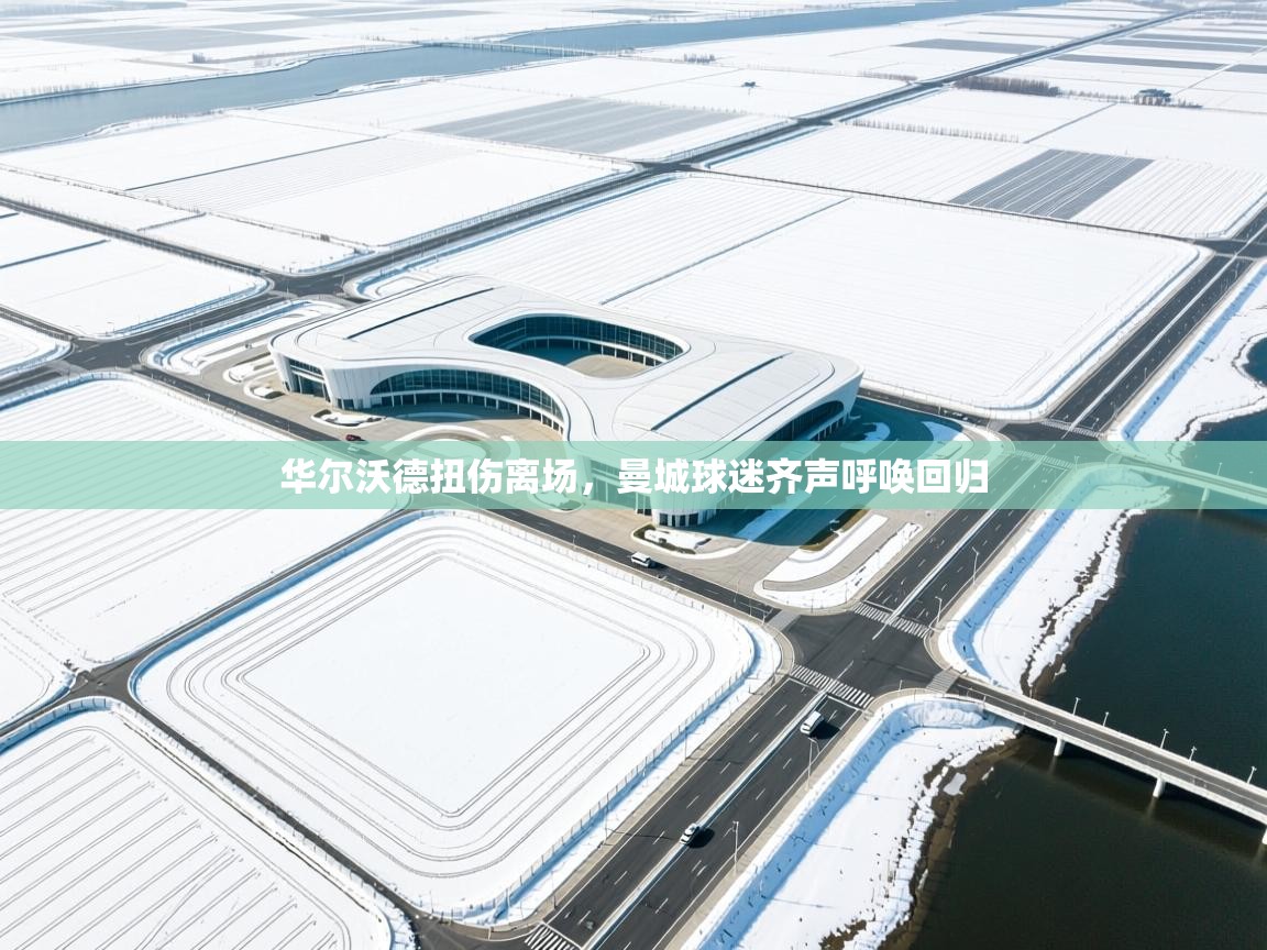 华尔沃德扭伤离场,曼城球迷齐声呼唤回归 第1张