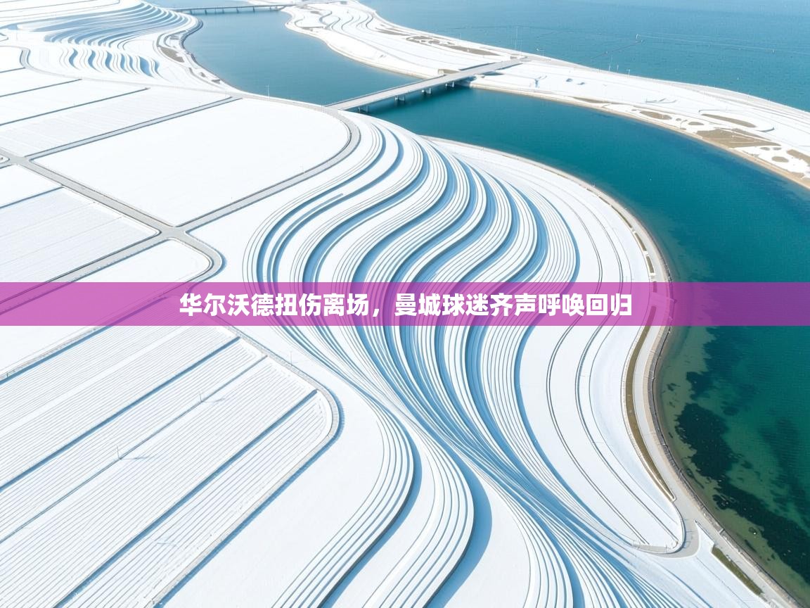 华尔沃德扭伤离场,曼城球迷齐声呼唤回归 第2张