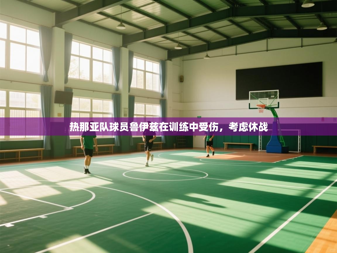 热那亚队球员鲁伊兹在训练中受伤,考虑休战 第2张