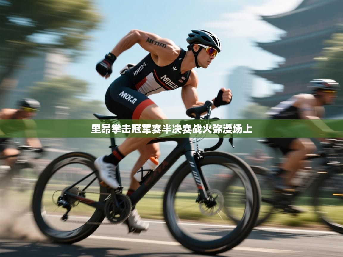 里昂拳击冠军赛半决赛战火弥漫场上  第1张